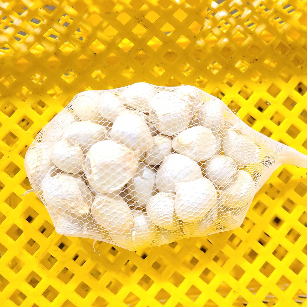 濃厚で甘い！大粒福地ホワイト六片にんにく 200g（農薬・化学肥料不