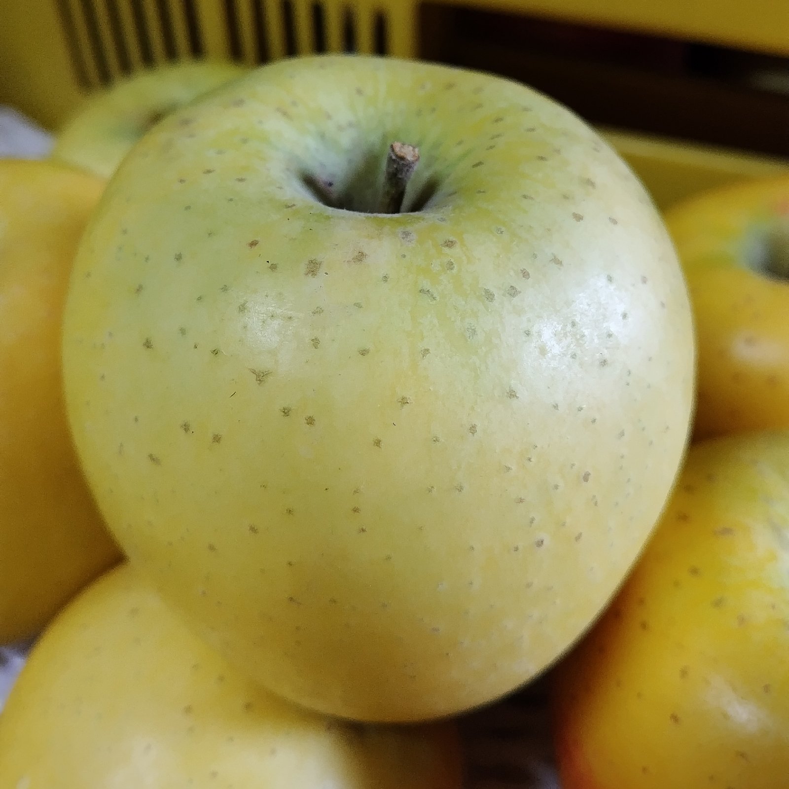 山﨑りんご農園（長野県・麻績村）｜生産者詳細｜産直アウル