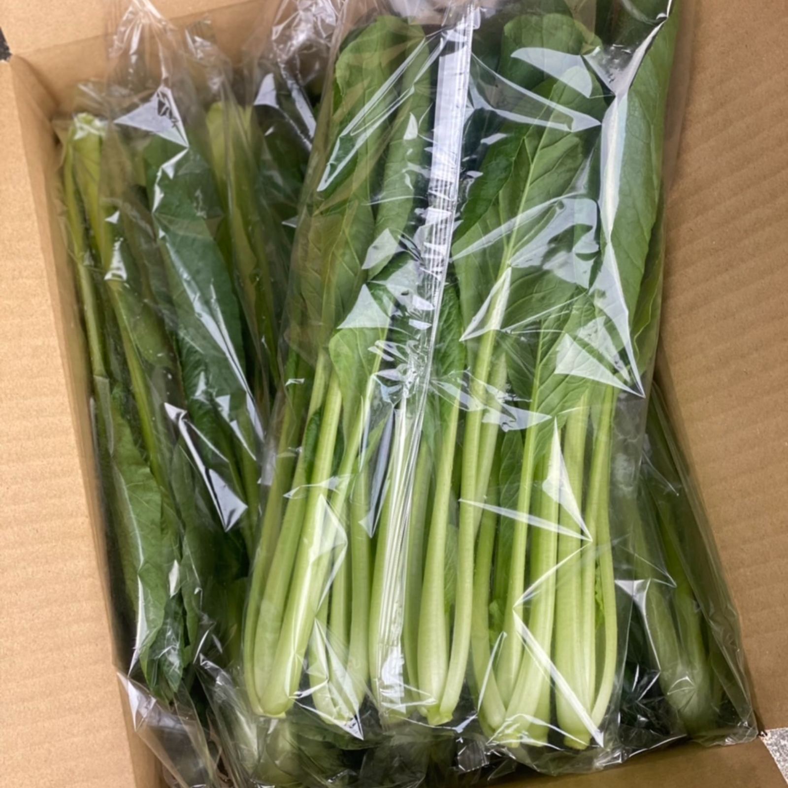 小松菜 40キロ