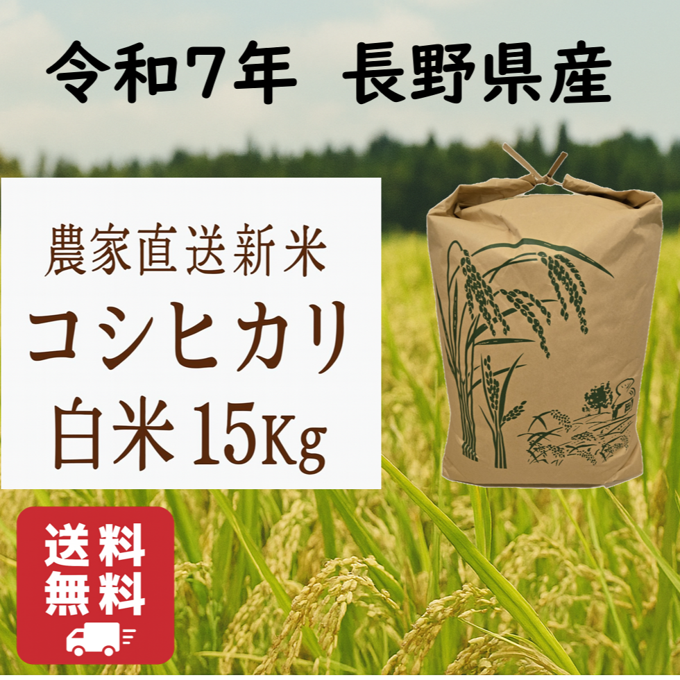 白米】コシヒカリ 15Kg 送料無料 令和7年 長野県産 新米 ｜ 米・穀物 