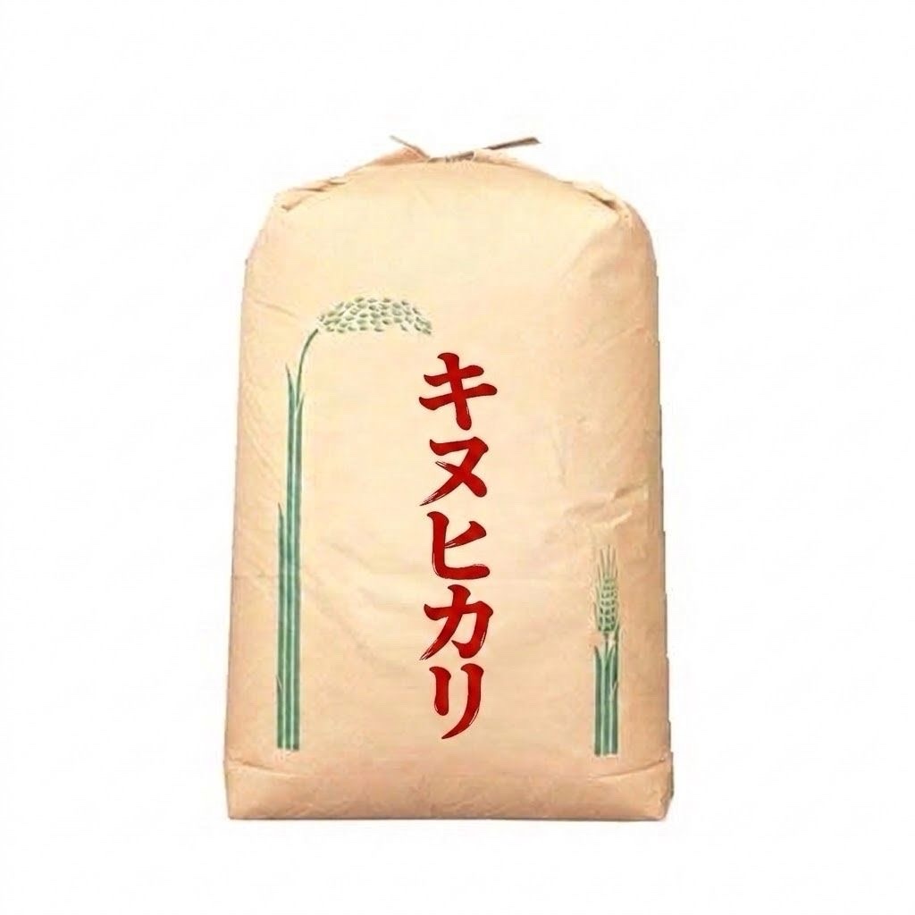 大特価品 令和7年産 淡路島キヌヒカリ 玄米30キロ ｜ 米・穀物/米/精米