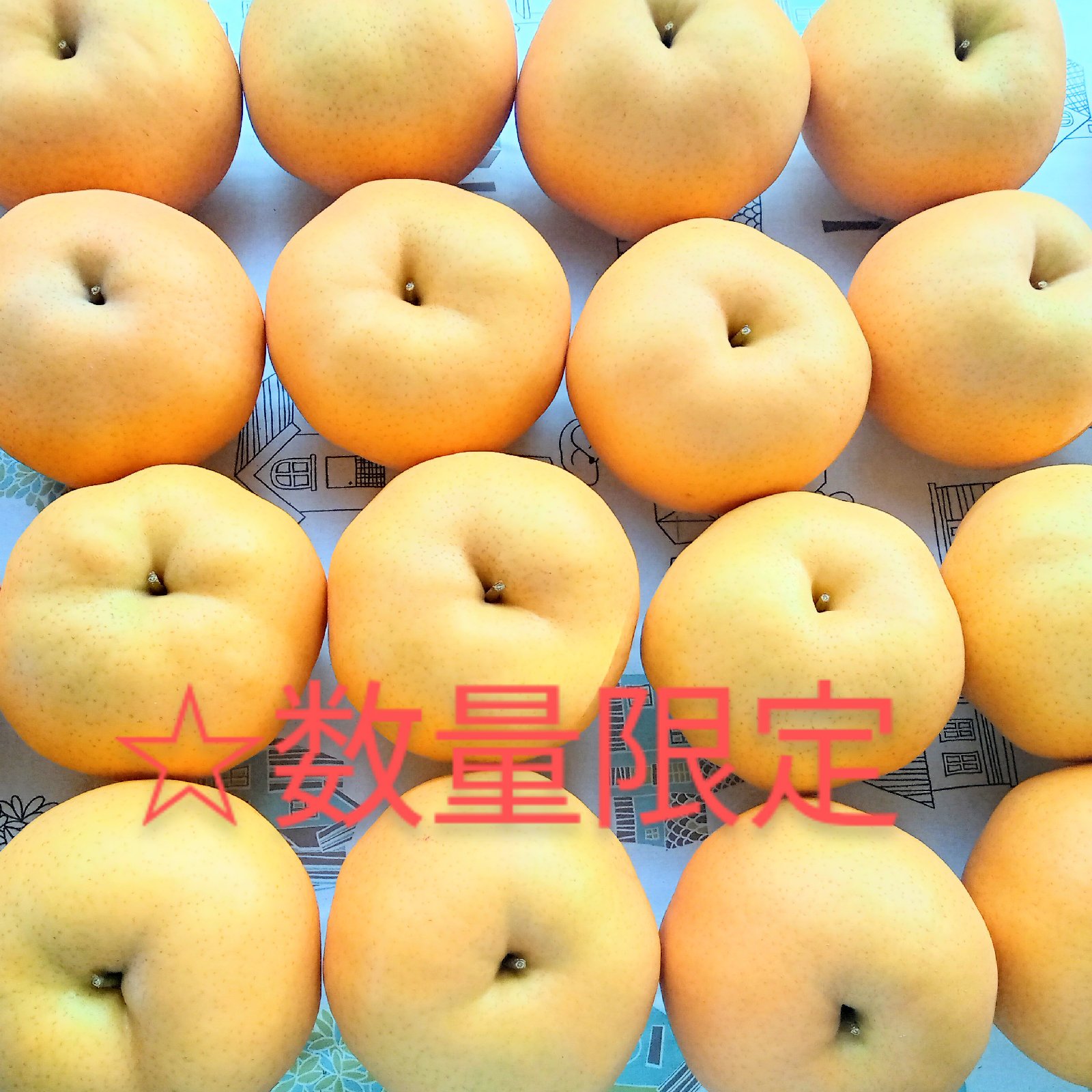 愛宕(あたご)梨 約4kg ☆数量限定 ｜ 果物/梨 産直アウル 農家・漁師