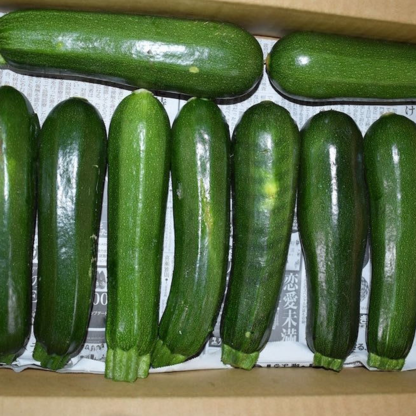 訳ありズッキーニ群馬県産（2kg） ｜ 野菜/ズッキーニ 産直アウル