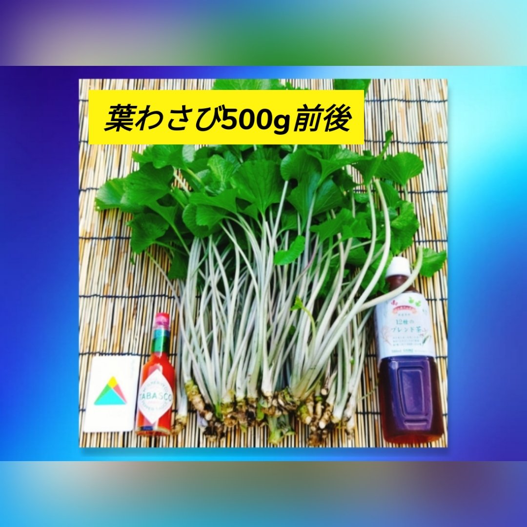 わさびの産地直送商品一覧（通販・お取り寄せ）-産直アウル