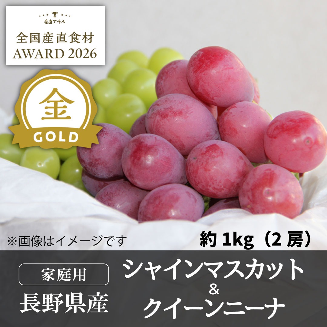 ①シャインマスカット　クイーンニーナ　マイハート粒　自宅用 家庭用クイーンニーナ&シャインマスカット約1kg（2房）／本気農場