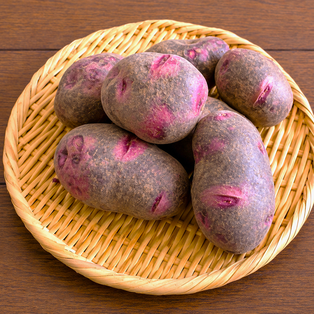 L～Mサイズ】『グラウンドペチカ』 ジャガイモ (8kg) ｜ 野菜