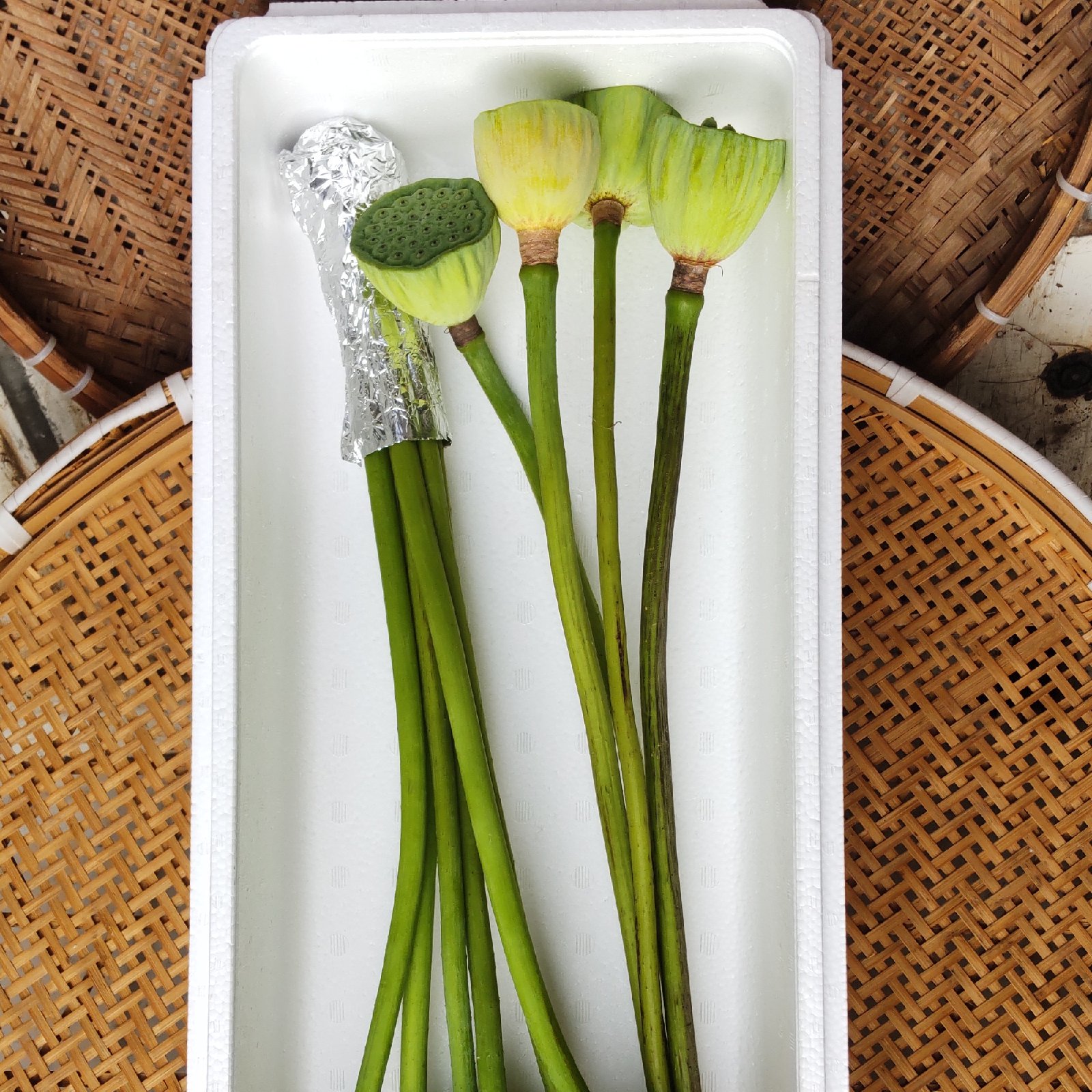 蓮の花セット ｜ 花・植物/花・植物 産直アウル 農家・漁師など生産者