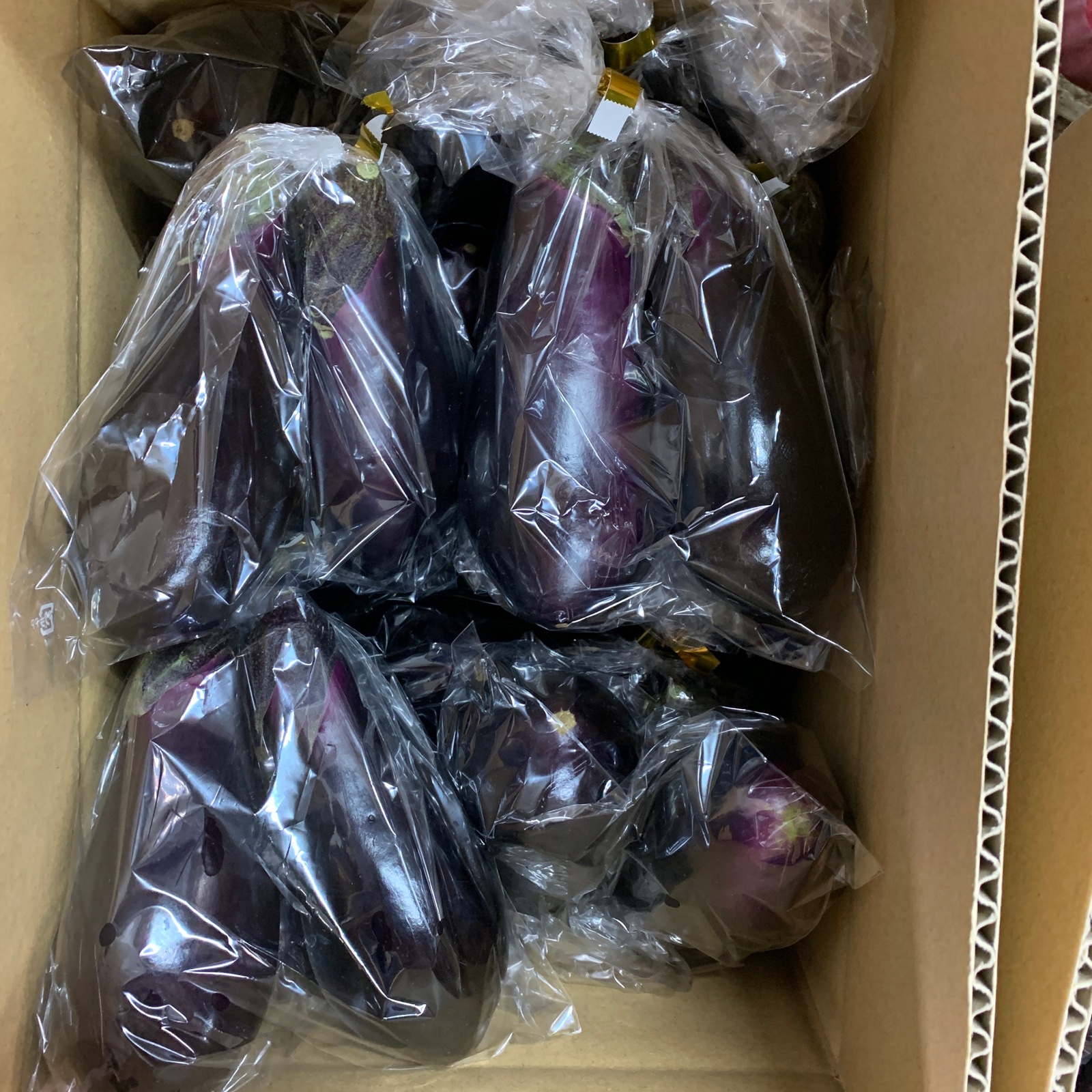 数量限定 でかピカ茄子🍆 ｜ 野菜/茄子 産直アウル 農家・漁師など生産