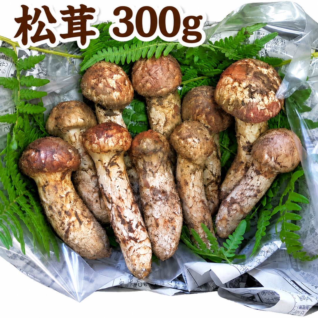 ①南信州豊丘産 松茸 328ｇ 10月上旬〜 長野県豊丘産 松茸(300g) ｜ 野菜/きのこ 産直アウル 農家