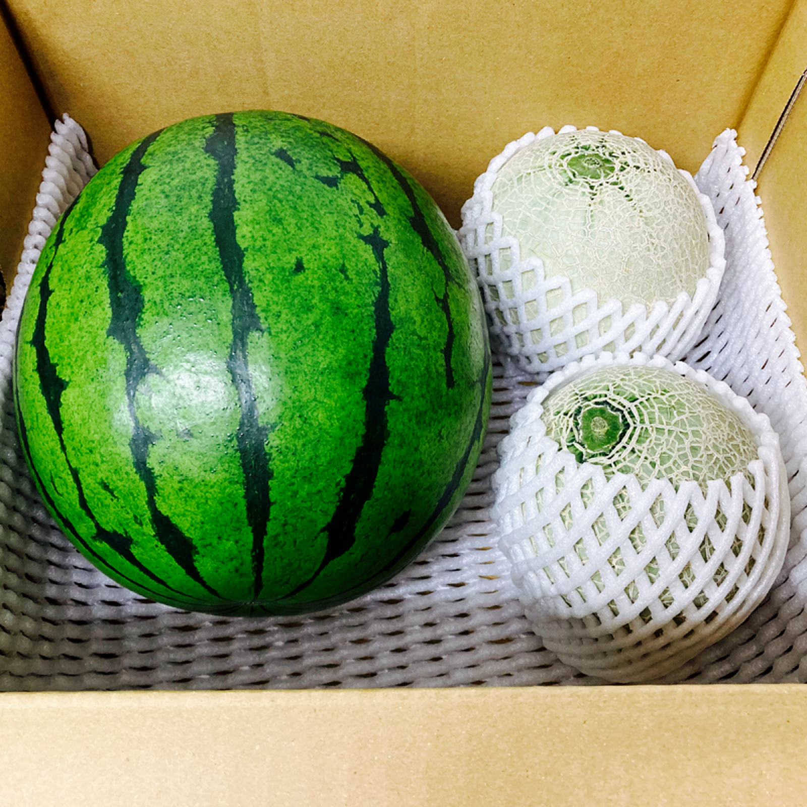 くまもと食彩の力 熊本 メロン1玉＆小玉 西瓜 1玉 合計 箱込み