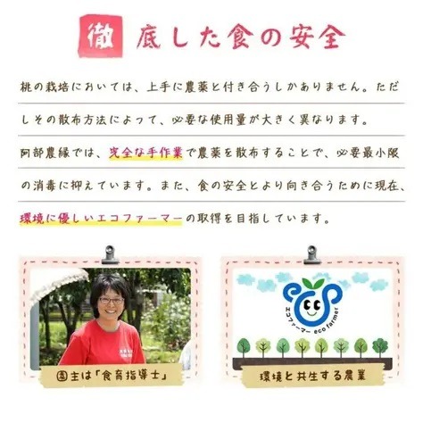 加工用摘果若桃1kg 甘露煮やジャムに 福島のもも あかつき・白鳳・川