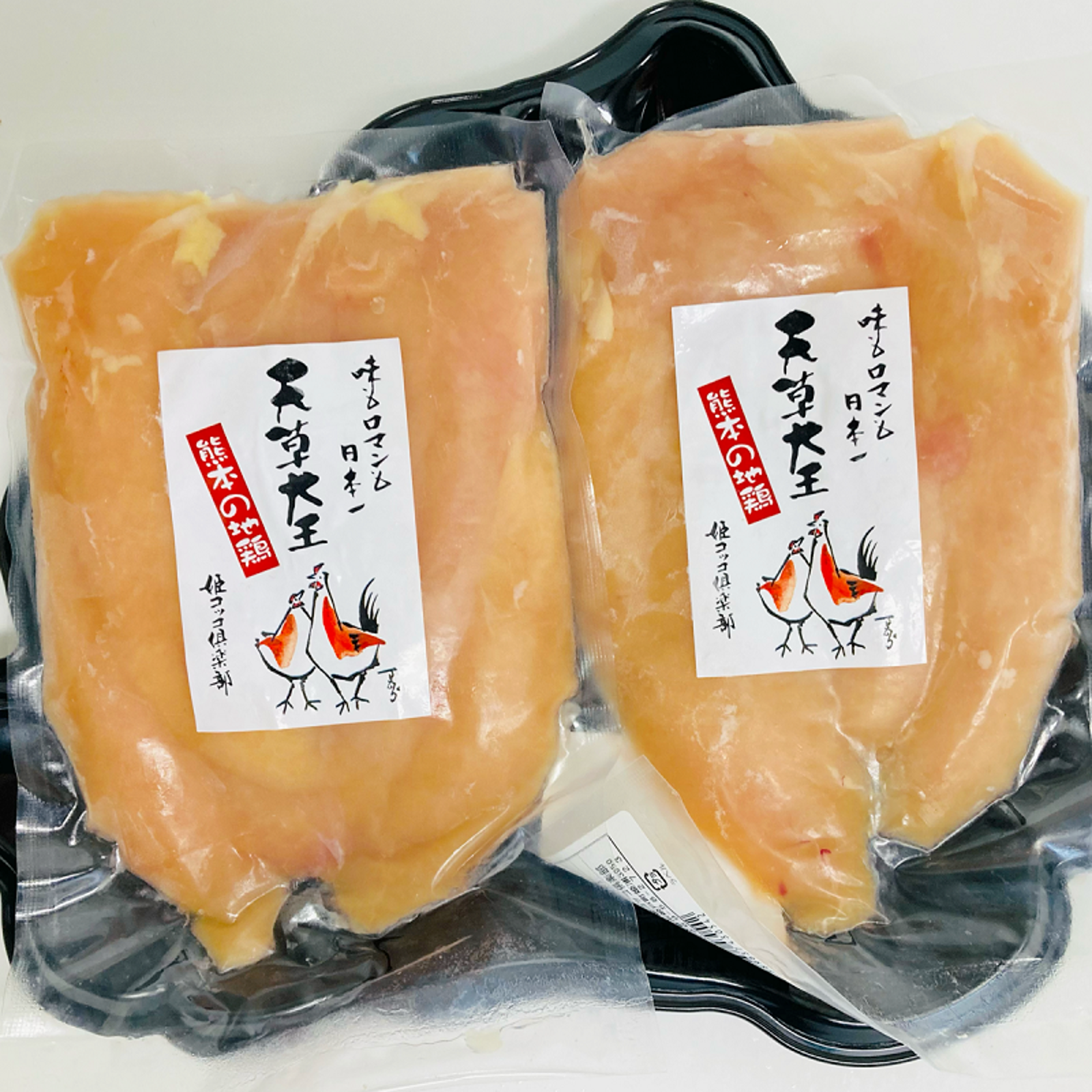 食物本草本大成　全12巻