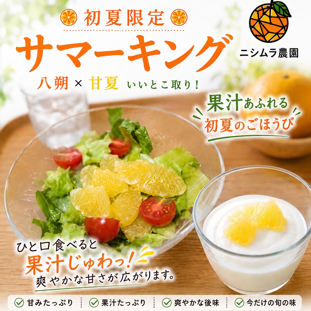 津久見サマーキング 4kg｜初夏のほろ苦シトラス ｜ 果物/オレンジ