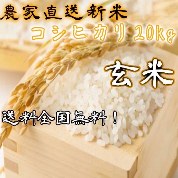 農家直送!新米✨新潟コシヒカリ玄米20kg 玄米 新潟 コシヒカリ 20kg」の人気商品一覧 | 安い商品を通販