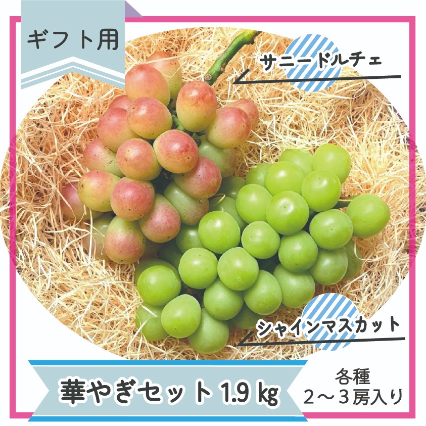 ⑥ 山梨県産　訳あり　シャインマスカット　サニードルチェ　6房　箱込み5.2kg