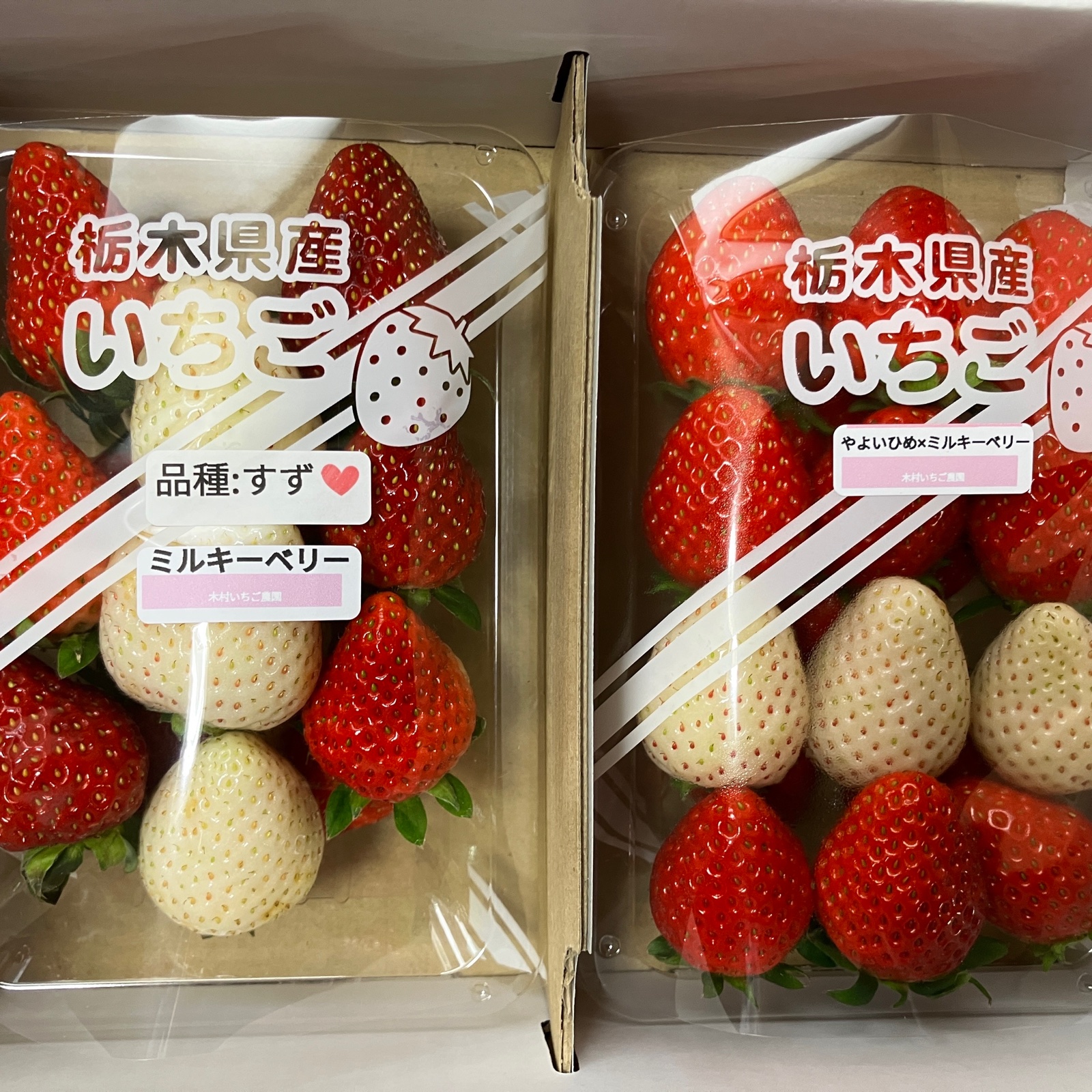 12ff5ddaf7059fd161799d87e5c54f
