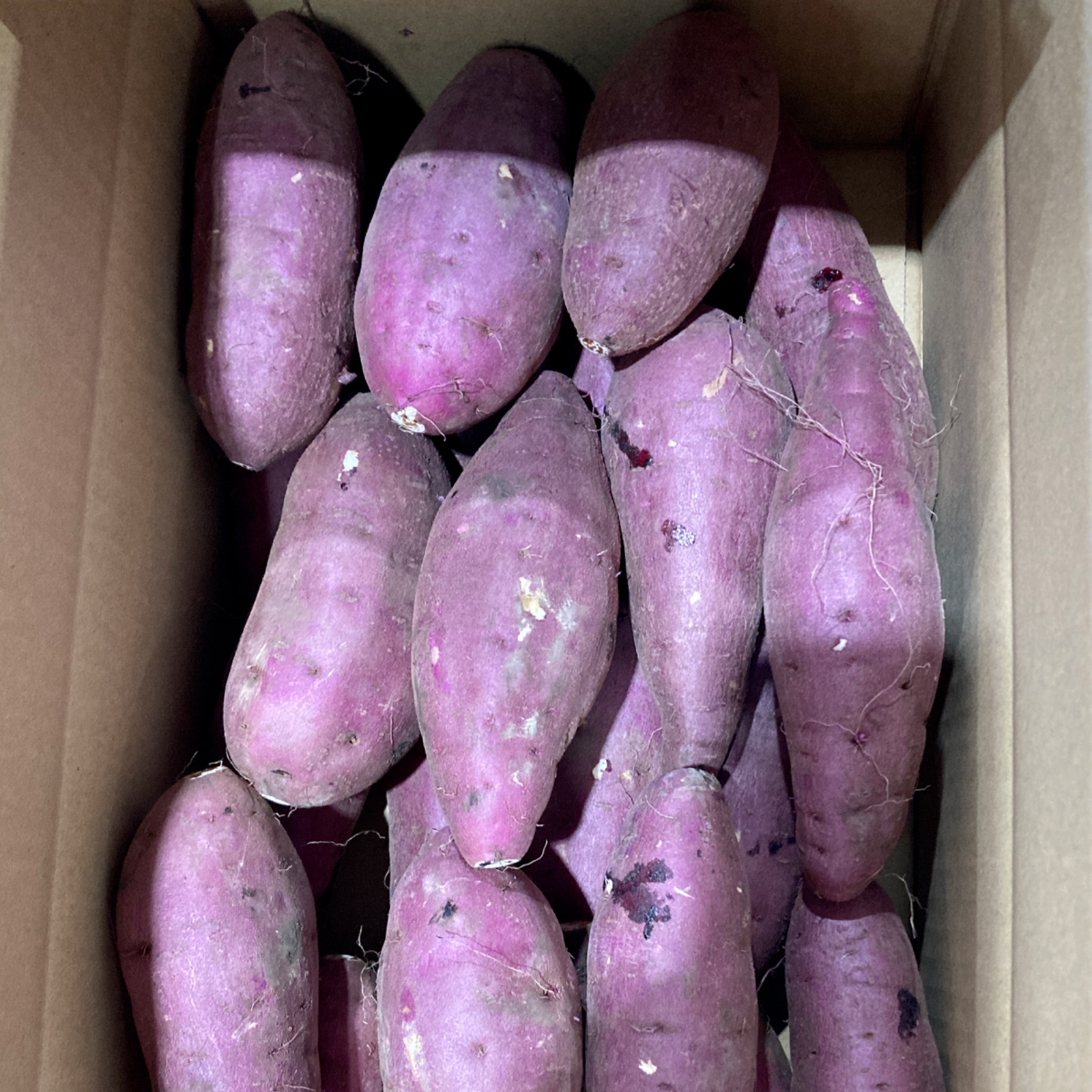 みどり熊本県産里芋10kg箱込み