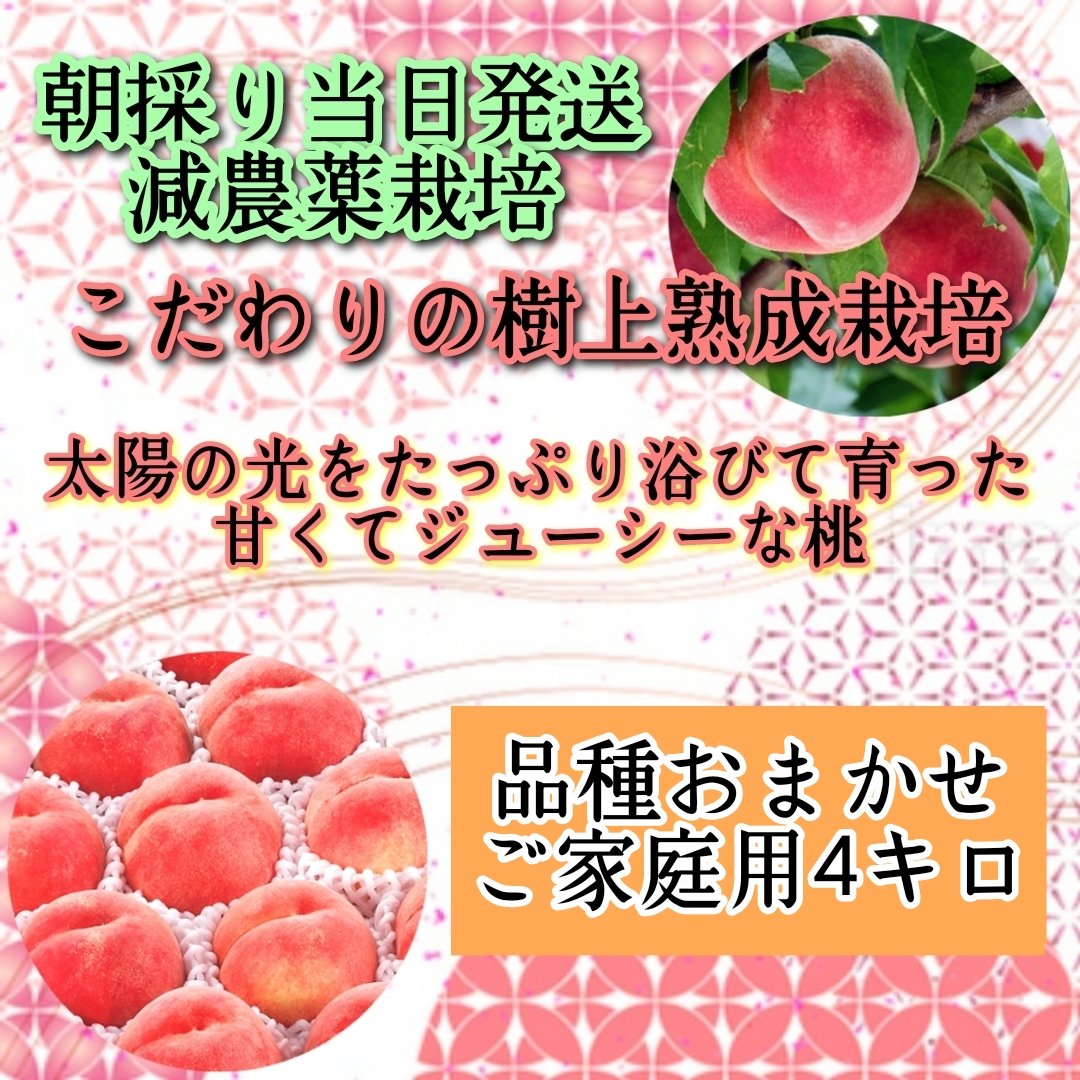 朝採り当日発送☆減農薬栽培期間☆希少品種☆桃 恋甘姫 正規品 2キロ×3