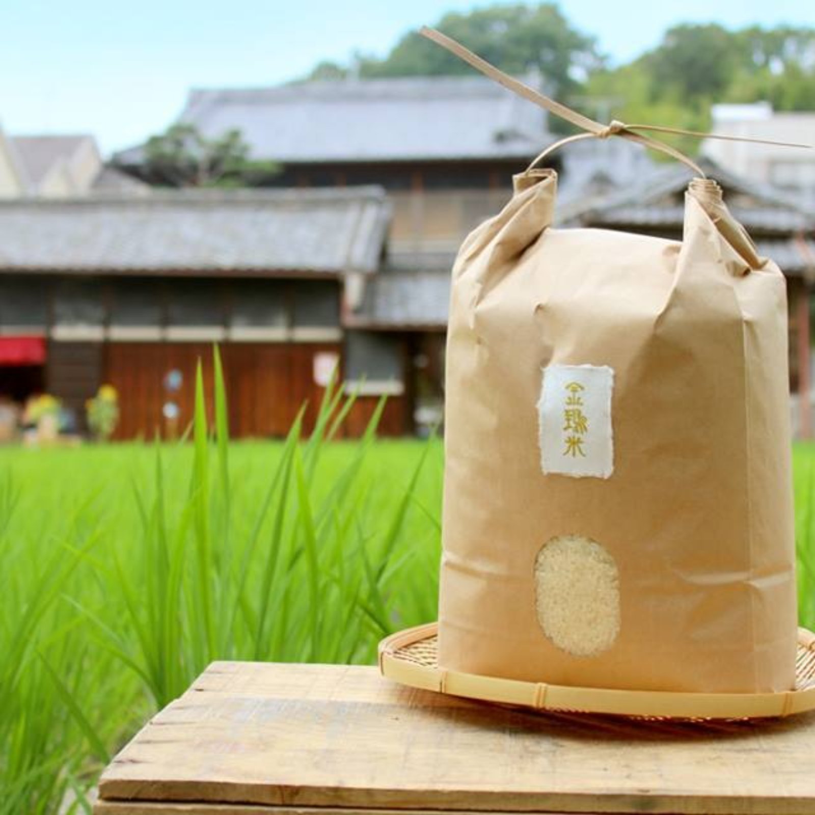 ヒノヒカリ(玄米)の産地直送食材一覧（通販・お取り寄せ）-産直アウル