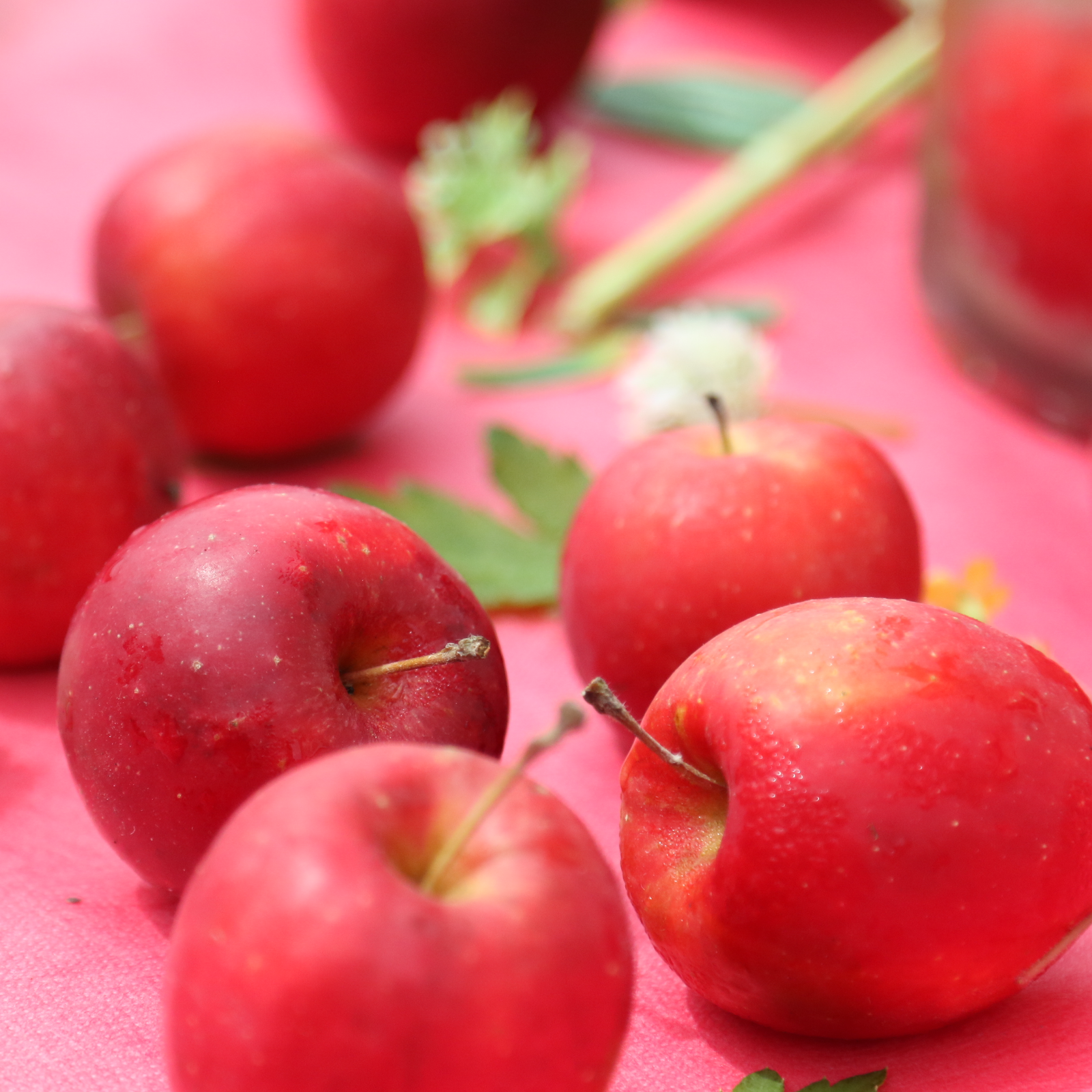 完売】アルプス乙女 1kg (20～30個) | 果物/りんご 産直アウル 農家