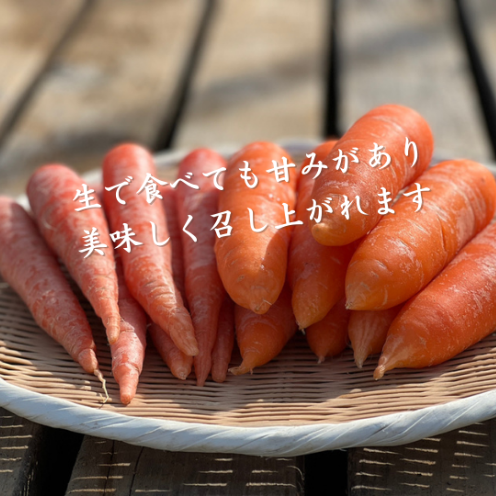 にんじん食べ比べ!! 3kg】”京くれない”と”完熟にんじん” ｜ 野菜/人参 