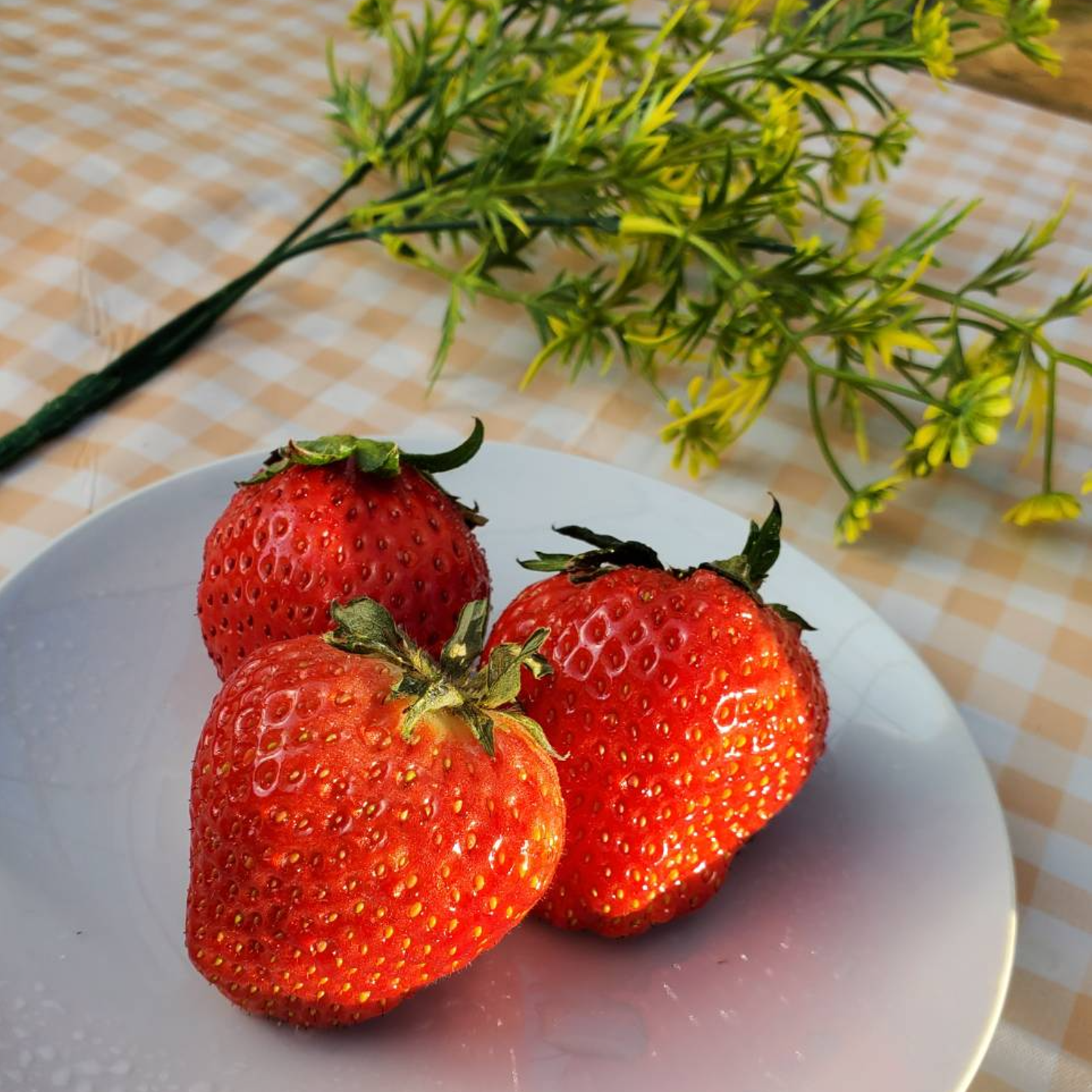 🍓日テレDayDay出演話題沸騰🍓【糖度15度オーバー】一万人が虜になった