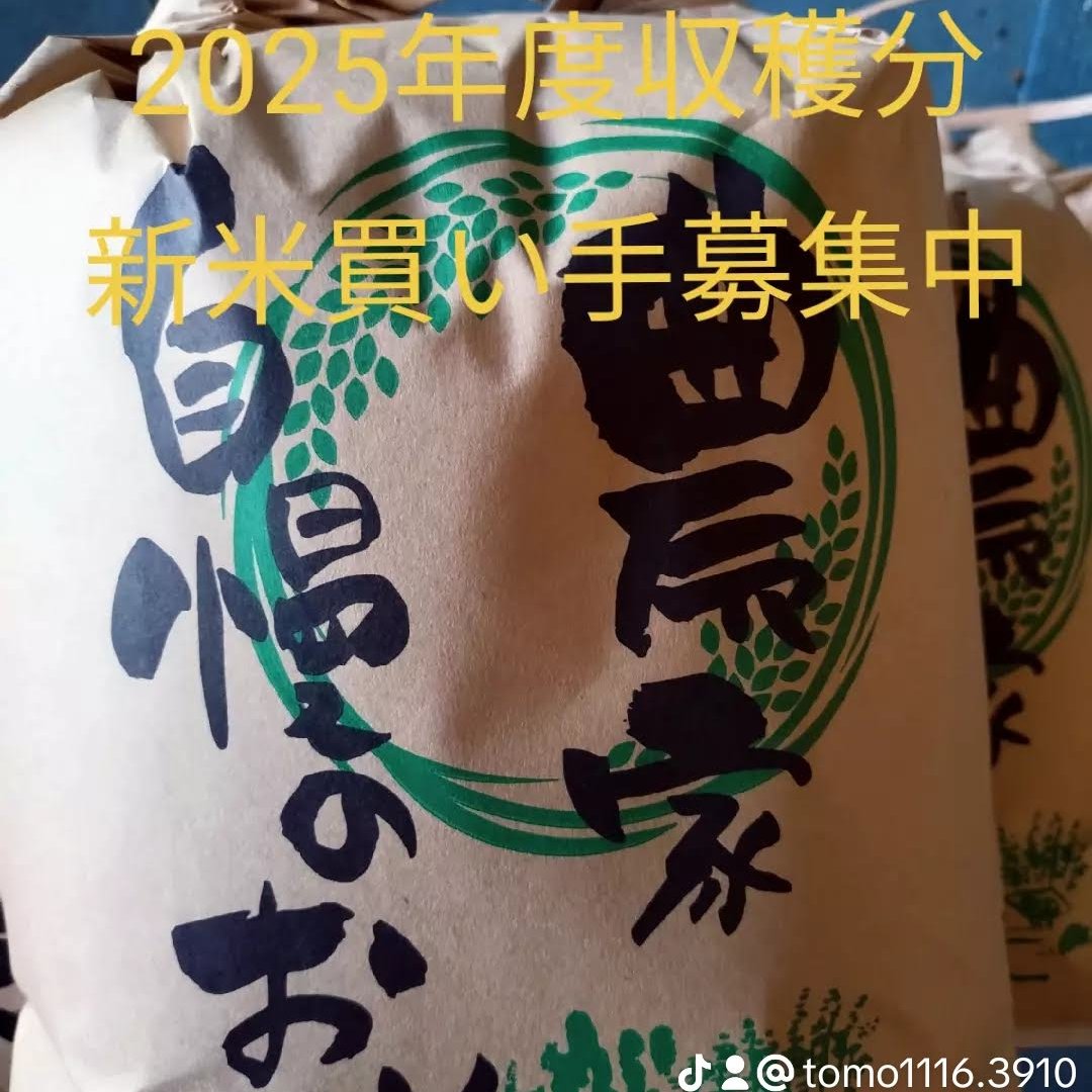 2026年産コシヒカリ 10kg ｜ 米・穀物/米/精米 産直アウル 農家・漁師