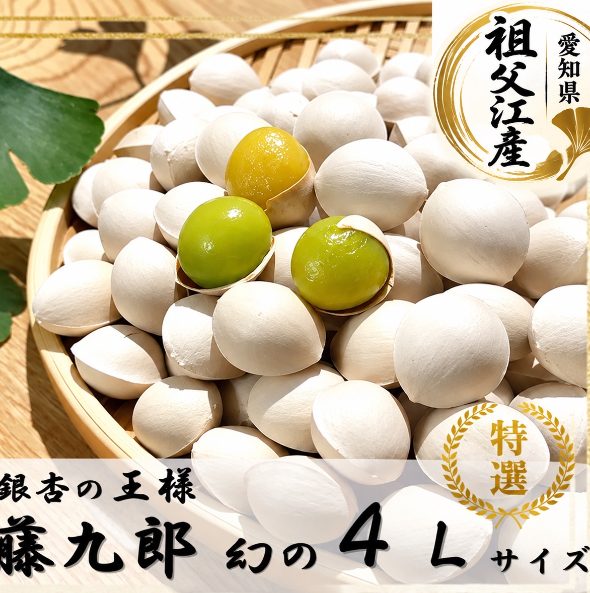 数量限定】祖父江銀杏 藤九郎特大大粒4Lサイズ ｜ 野菜/その他野菜
