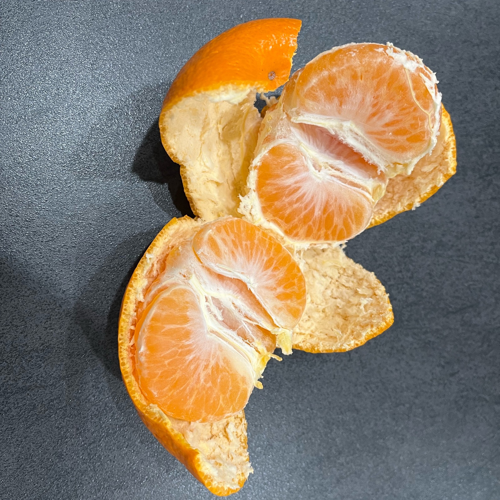 宮川早生みかん 10kg(箱込) 大玉訳あり | 果物/温州みかん 産直アウル