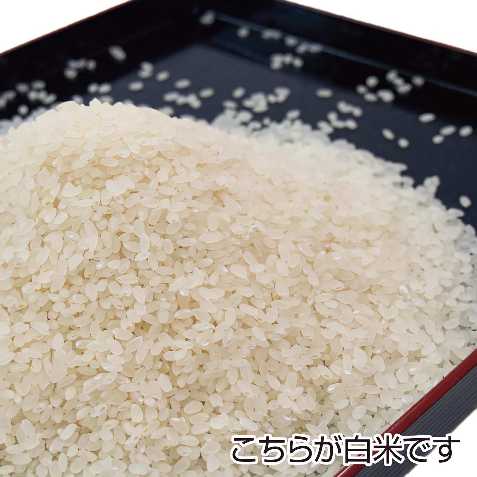 農家直送 令和７年産 秋田県産あきたこまち 特別栽培米【白希】１０kg 秋田県産あきたこまち【 白希 】~ HAKI ~ 10kg ｜ 米・穀物/米