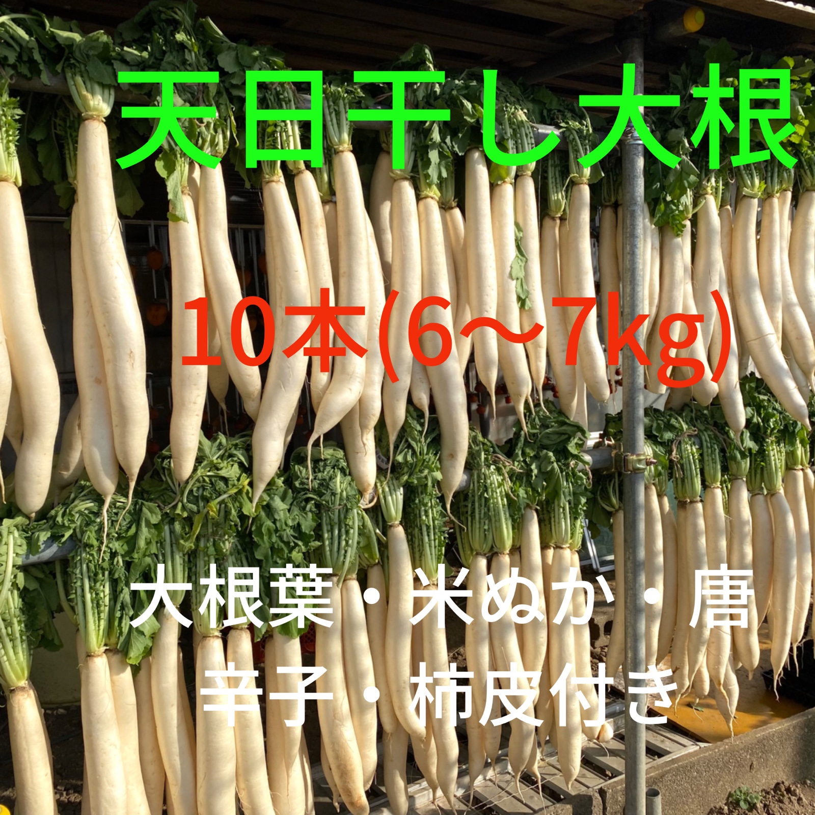 予約】天日干し大根(練馬沢庵大根) | 野菜/大根 産直アウル 農家から