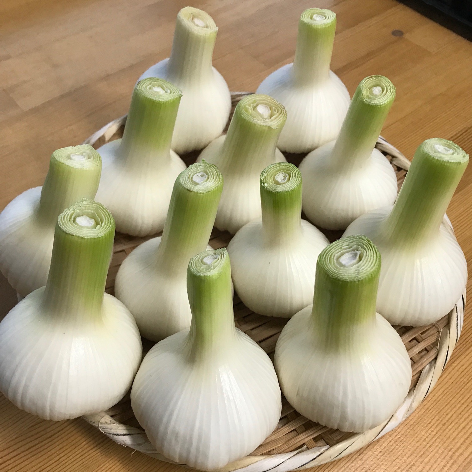 M'S農業 にんにく専門（愛知県・一宮市）｜生産者詳細｜産直アウル