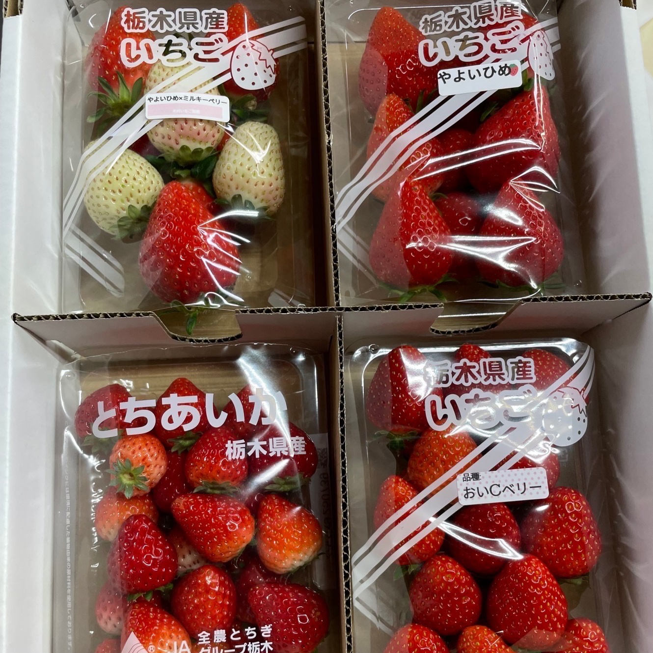 トモコロ いちごスナック 5袋入り トモコロ いちごスナック 5袋入り