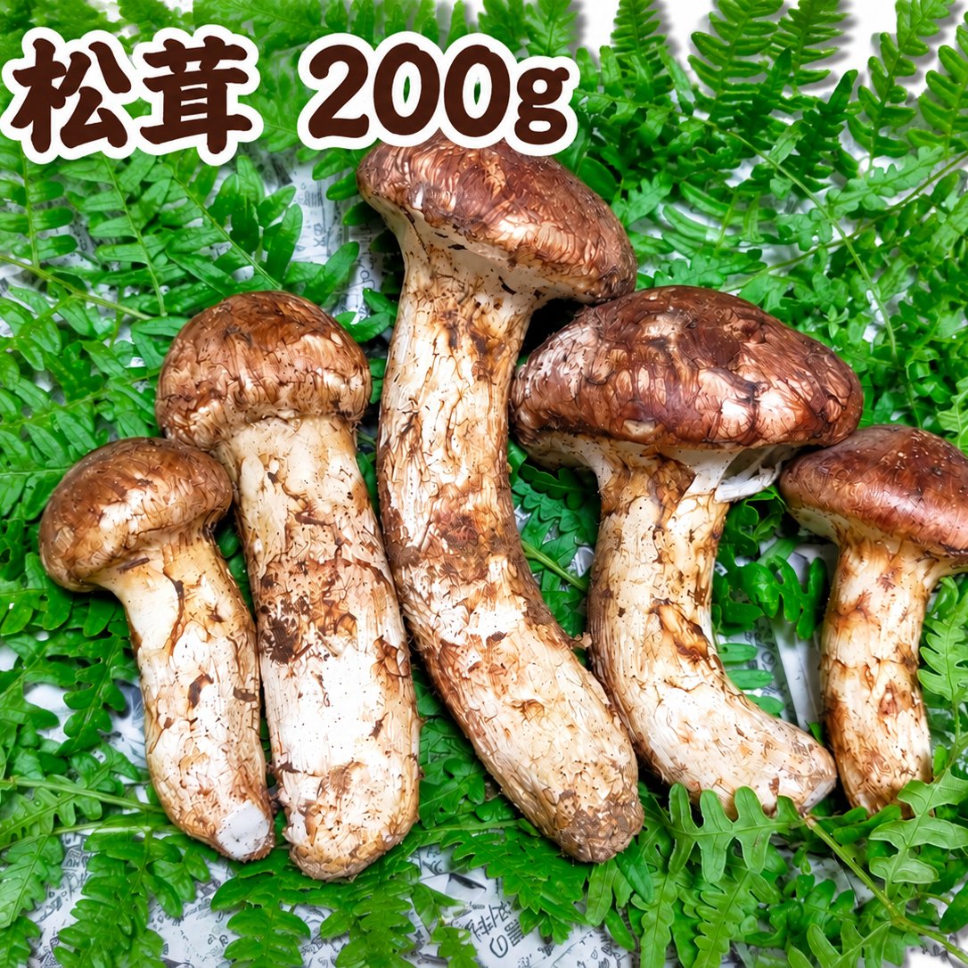 ①南信州豊丘産 松茸 328ｇ 10月上旬〜 長野県豊丘産 松茸(200g) ｜ 野菜/きのこ 産直アウル 農家