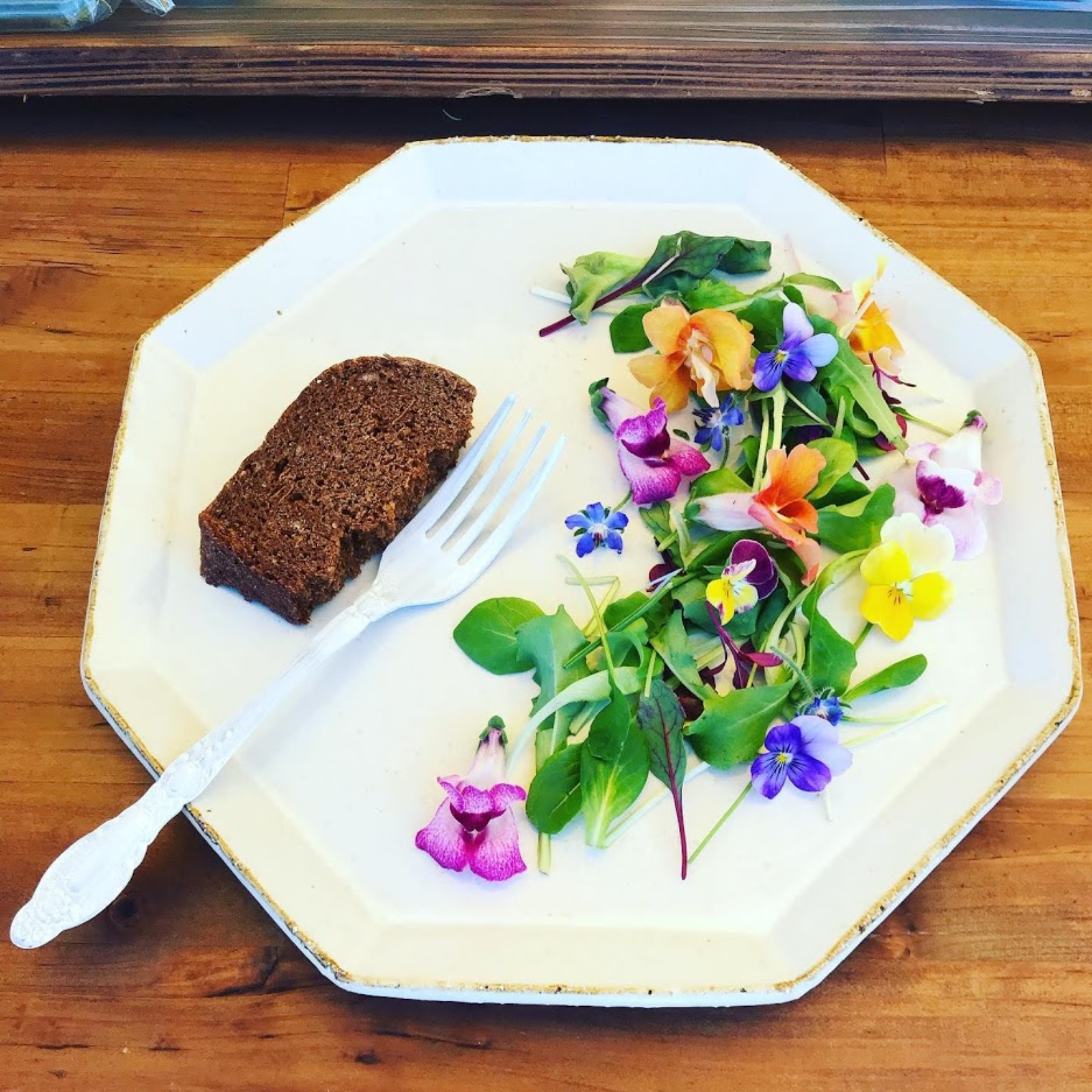 ウラジロ　エディブルフラワー　飾り葉