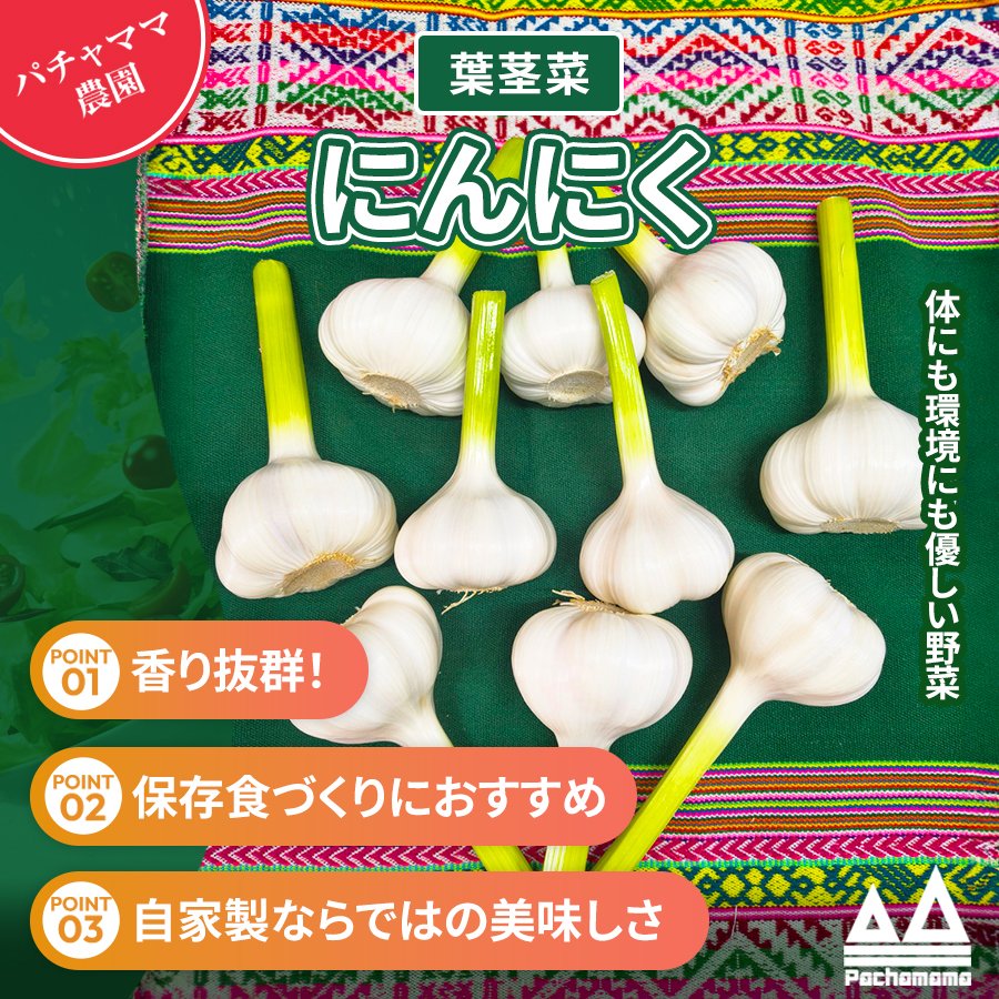 愛情たっぷり育てた生にんにく10個 パチャママ農園 ｜ 野菜/にんにく