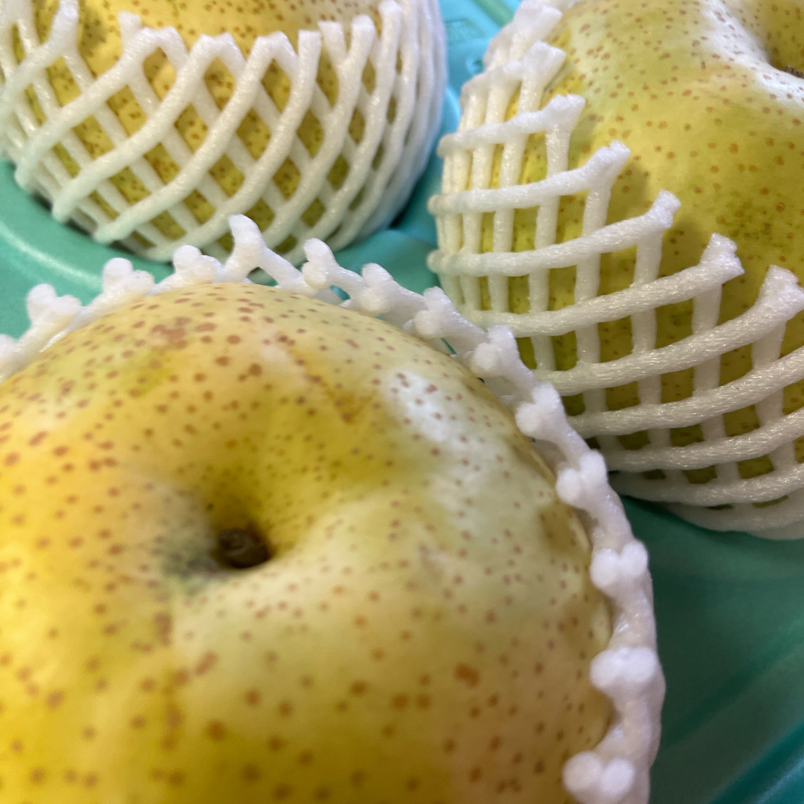 曽篠梨園の『かおり梨』 | 果物/梨 産直アウル 農家から直接野菜などの