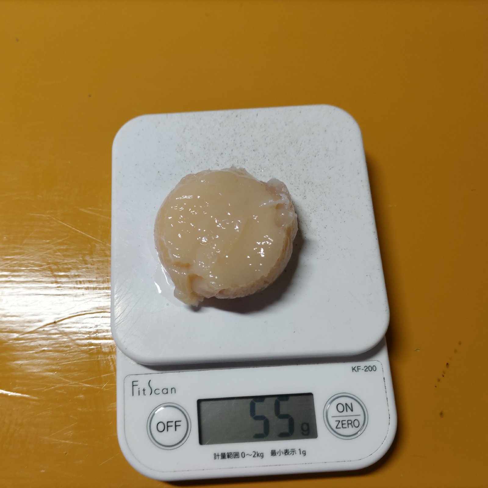九州地方の方限定！漁師直送！野付産超特大活ホタテ ｜ 魚介類/ホタテ