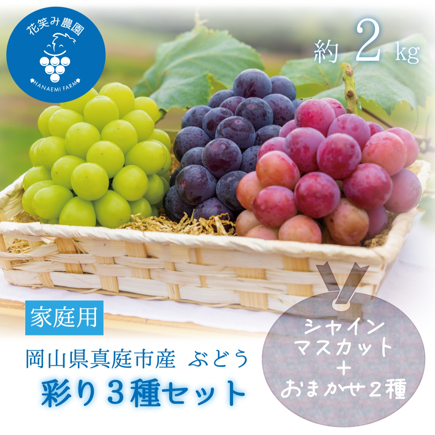 ぶどう　2種　置物　飾り