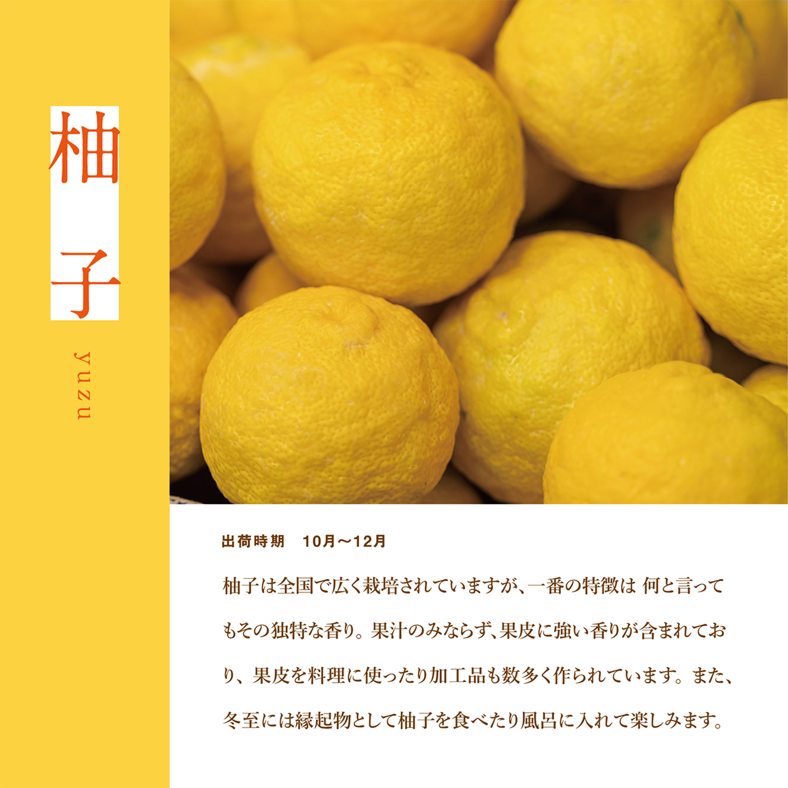 柚子　ゆず　10キロ　無農薬　おまけ　大量