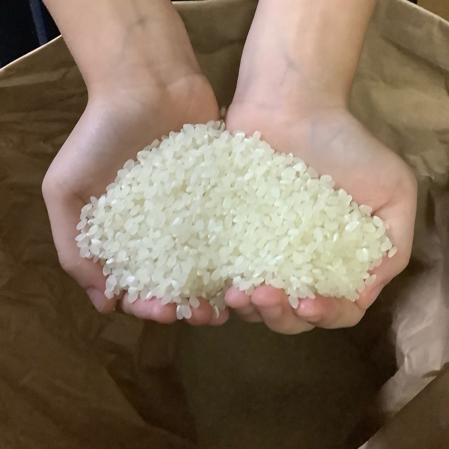 はなまる農園の令和7年度産虹のきらめき白米30キロ | 米・穀物/米/精米