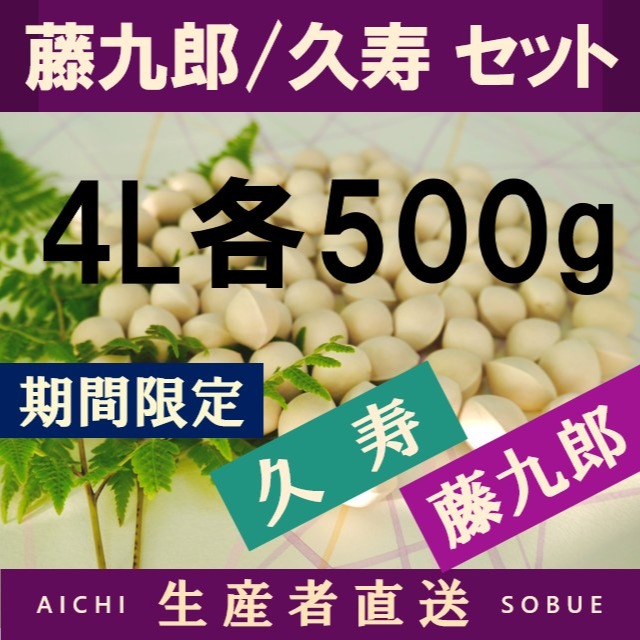 久寿 藤九郎 銀杏 各500g 食べ比べセット 限定30セット 2026年新物