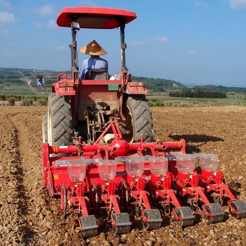 田畑ファーム21（鹿児島県・喜界町）｜生産者詳細｜産直アウル