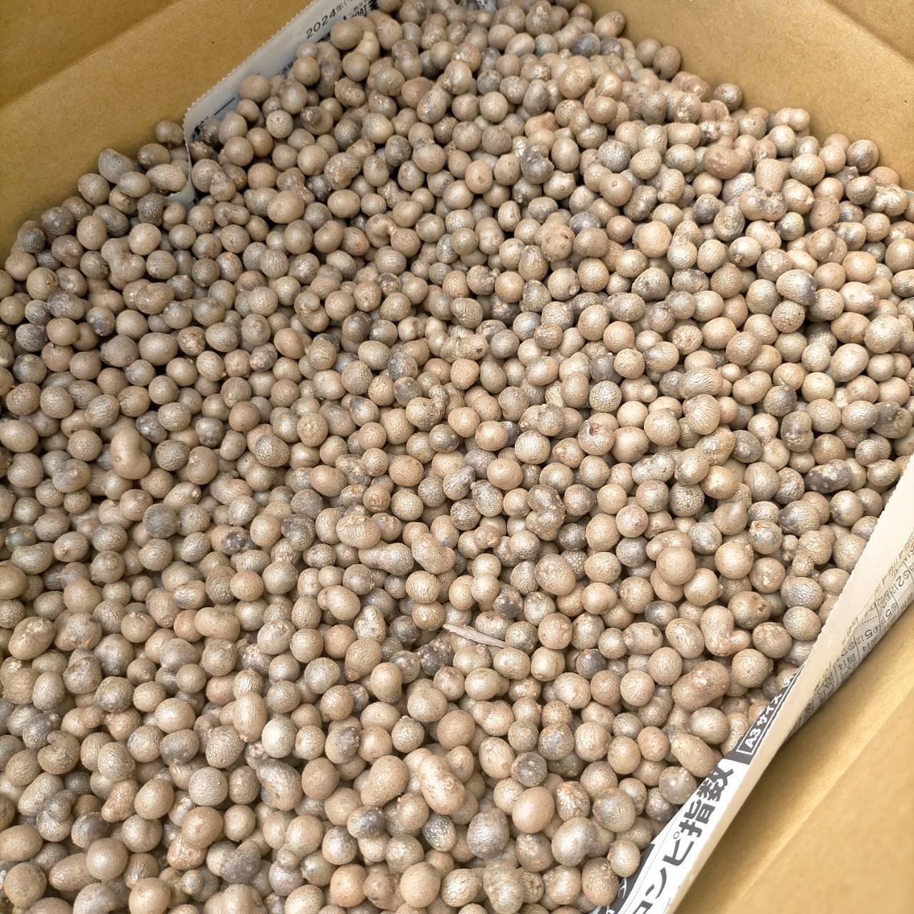 奄美大島産　紫山芋　10キロ