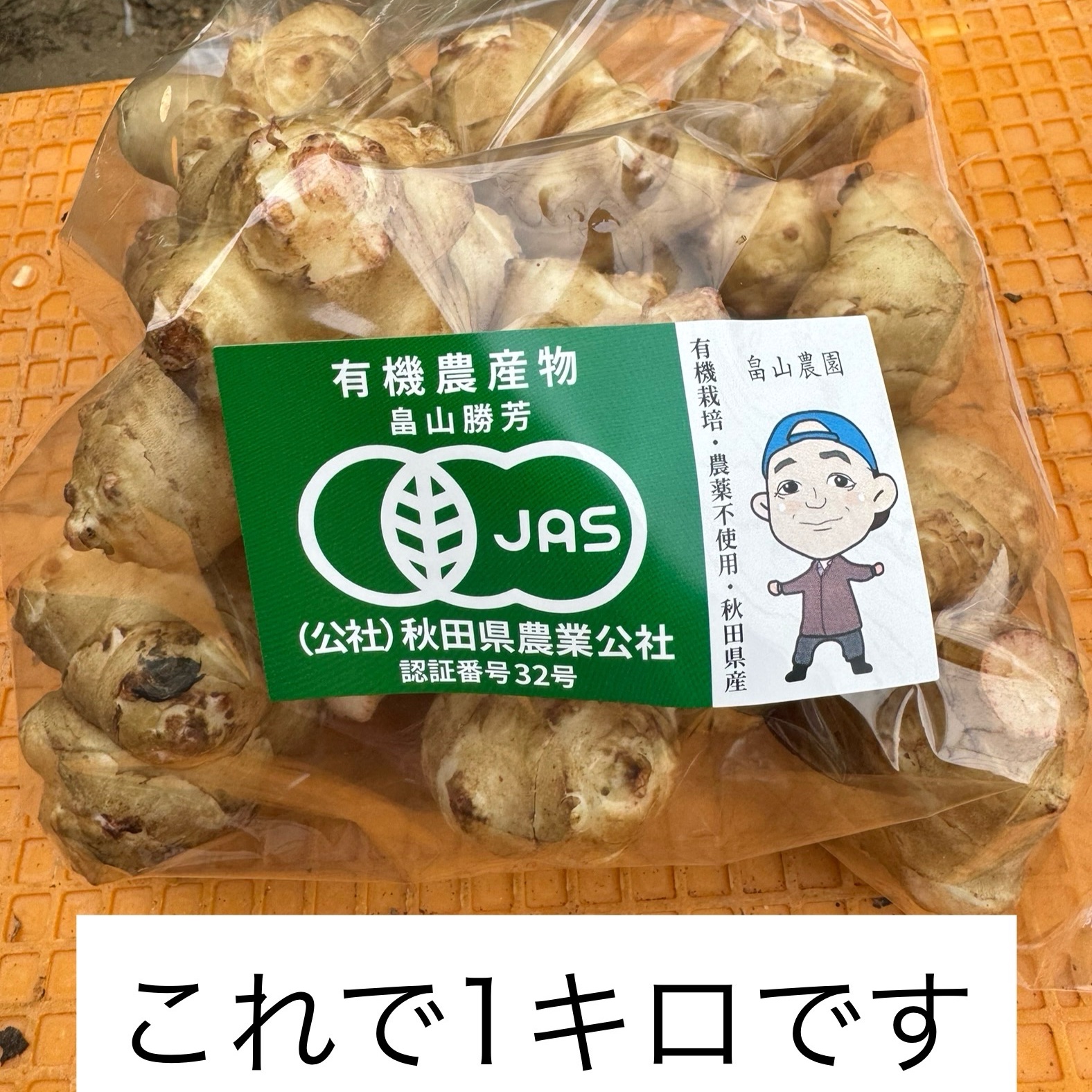 菊芋　20kg 秋田県産オーガニック菊芋【20kg】 ｜ 野菜/その他野菜 産直アウル