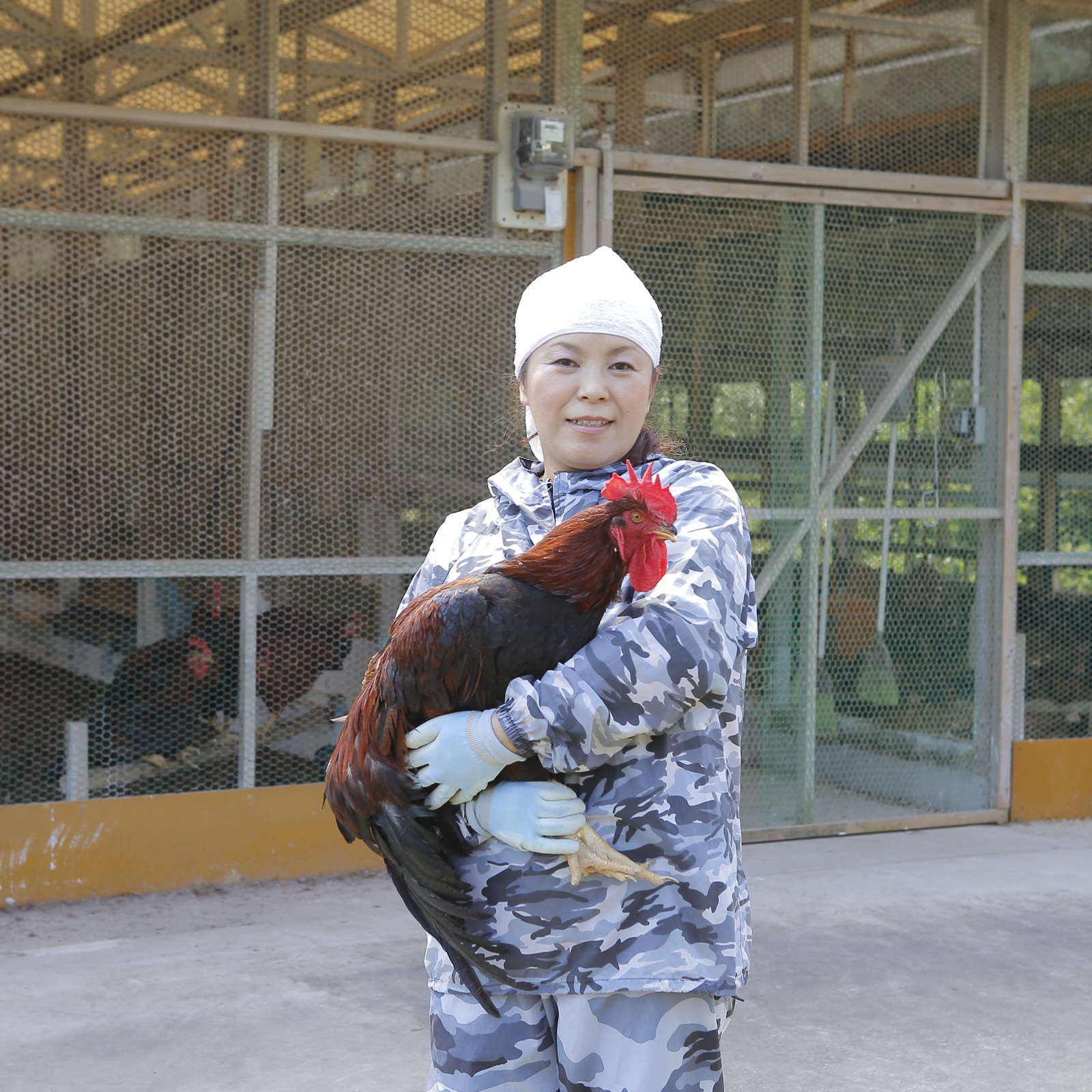 くまもと 熊本 天草大王 むね たたき ダブルセット約180g×2個 (老舗
