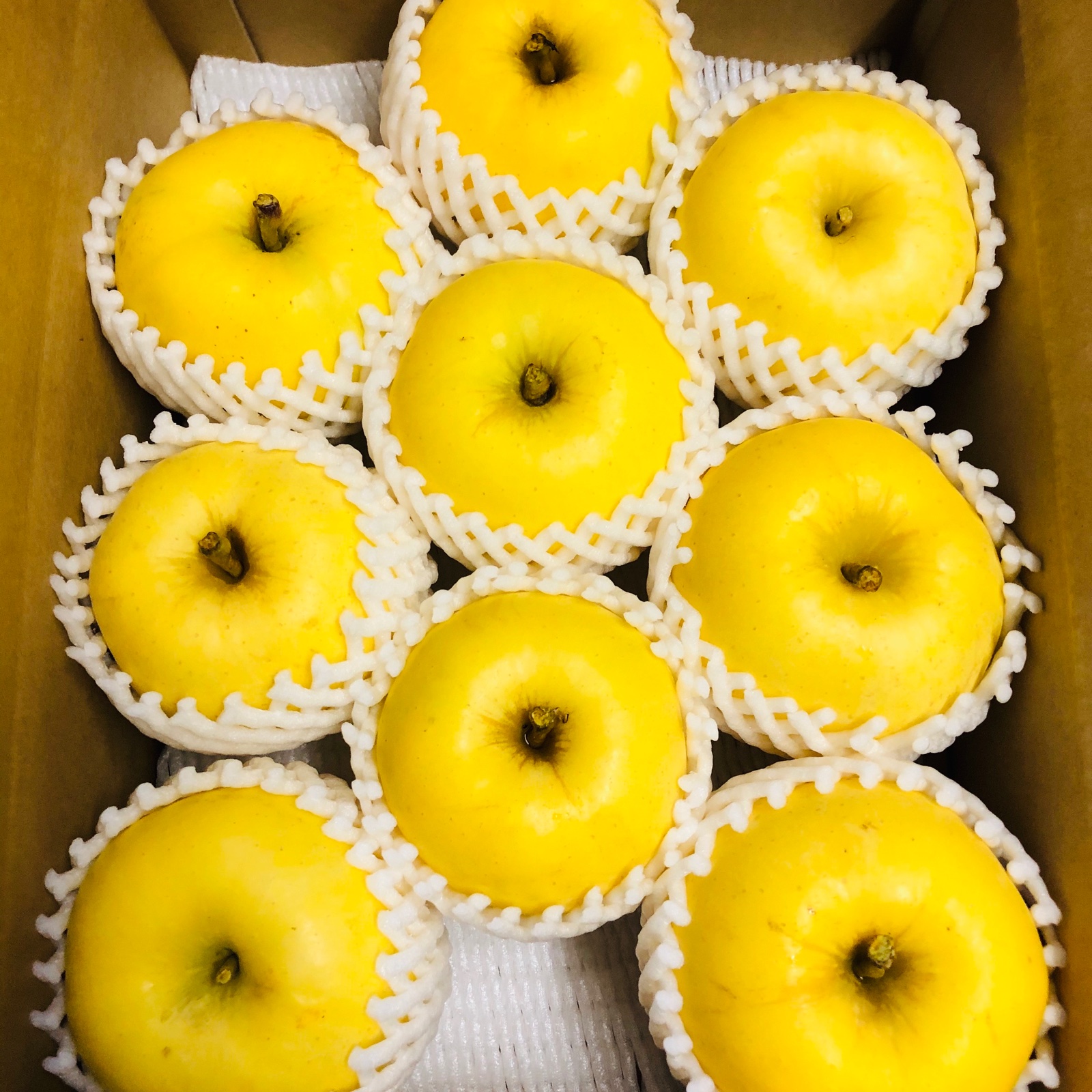 高級品種 はるか 約5キロ 秀品 | 果物/りんご 産直アウル 農家から直接