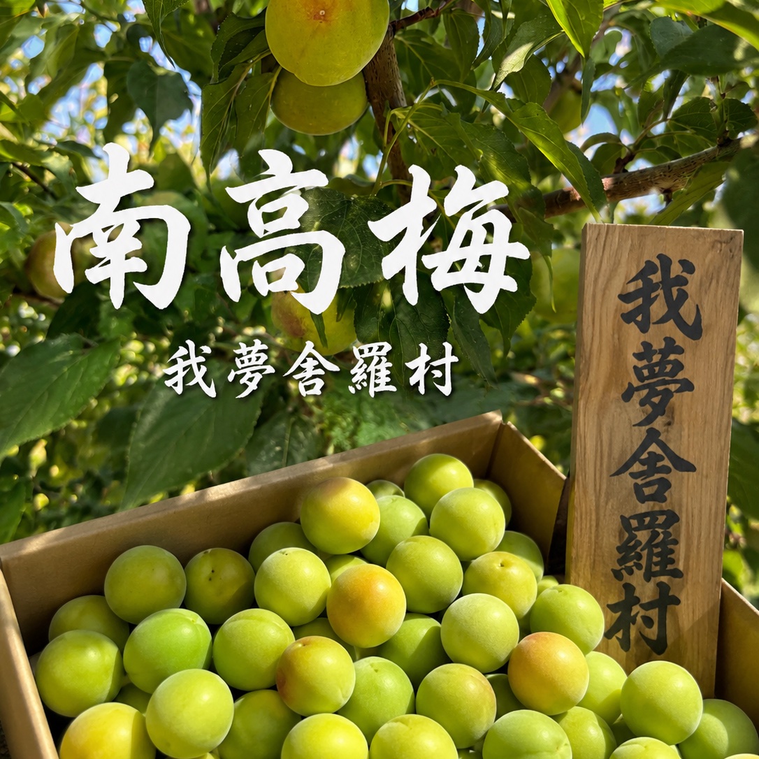 青梅の産地直送商品一覧（通販・お取り寄せ）-産直アウル