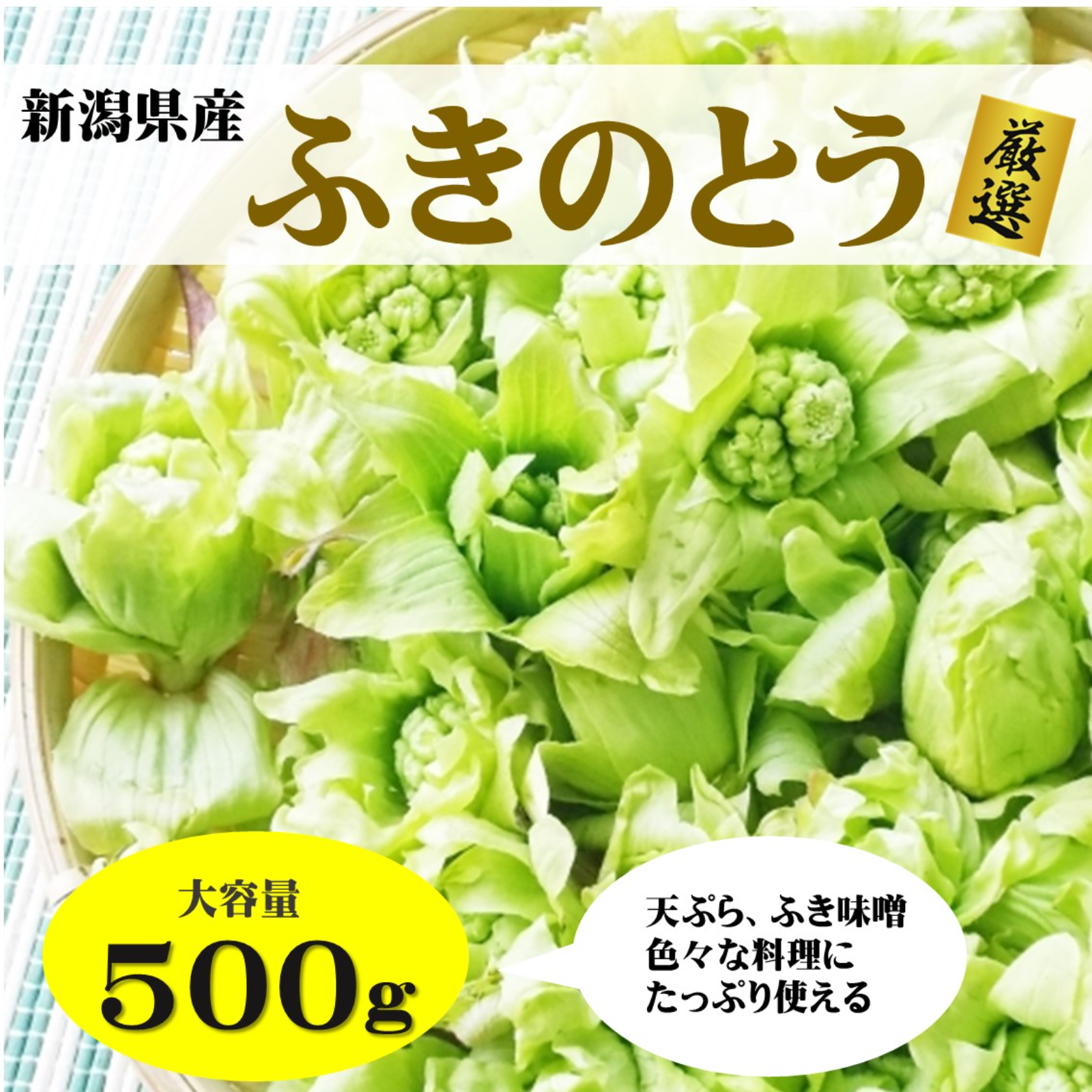 山菜　ふきのとう　新潟県産　採れたて新鮮発送　小、中サイズ500g 雪国でとれたふきのとう 500g ｜ 野菜/山菜 産直アウル 農家・漁師など
