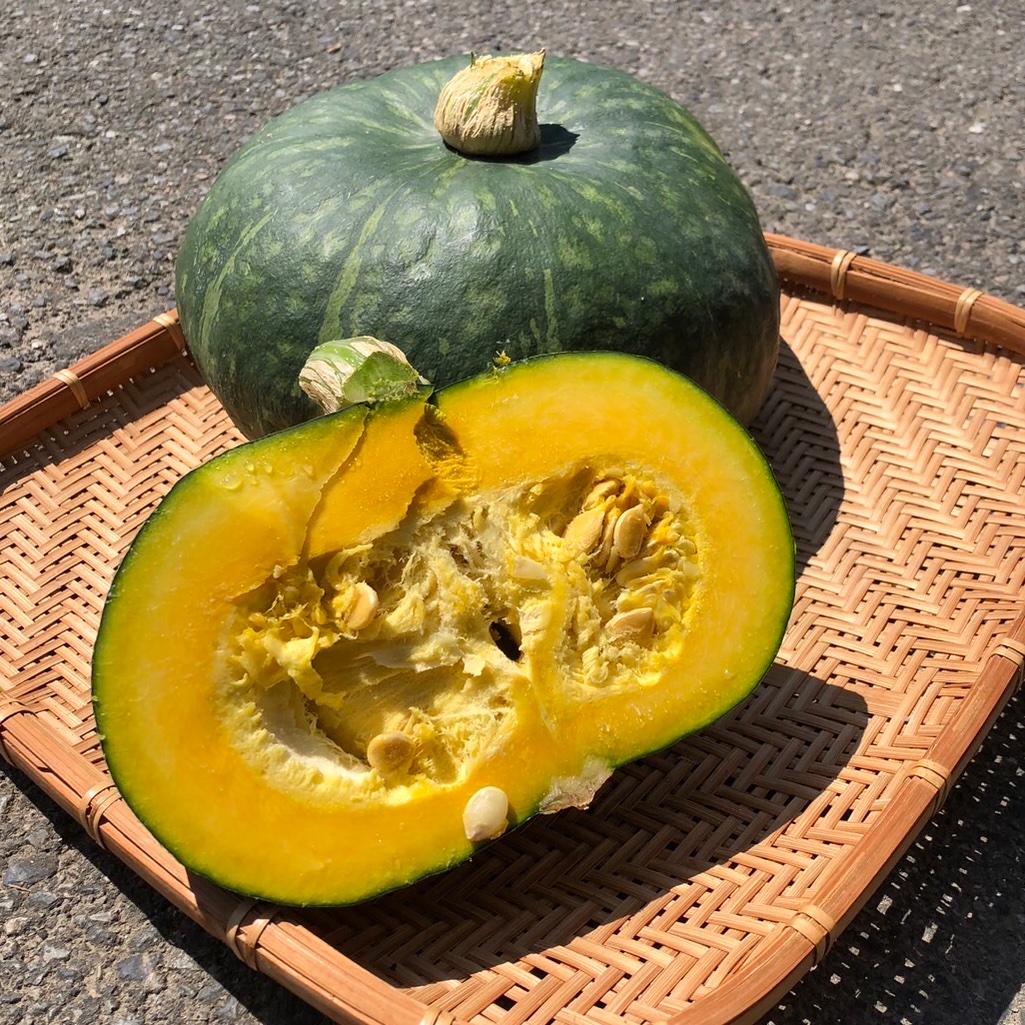 長崎県産かぼちゃ【えびす】 5〜8個10kg以上 えびすかぼちゃ ｜ 野菜/かぼちゃ 産直アウル 農家・漁師など生産者